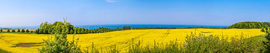 Vorschau Panorama Der Magelowberg in Lohme