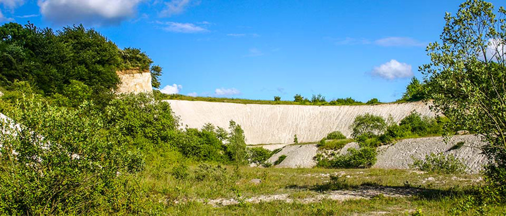 Alter Kreidebruch auf Jasmund